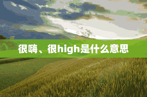 很嗨、很high是什么意思(很嗨,很high是什么意思啊)